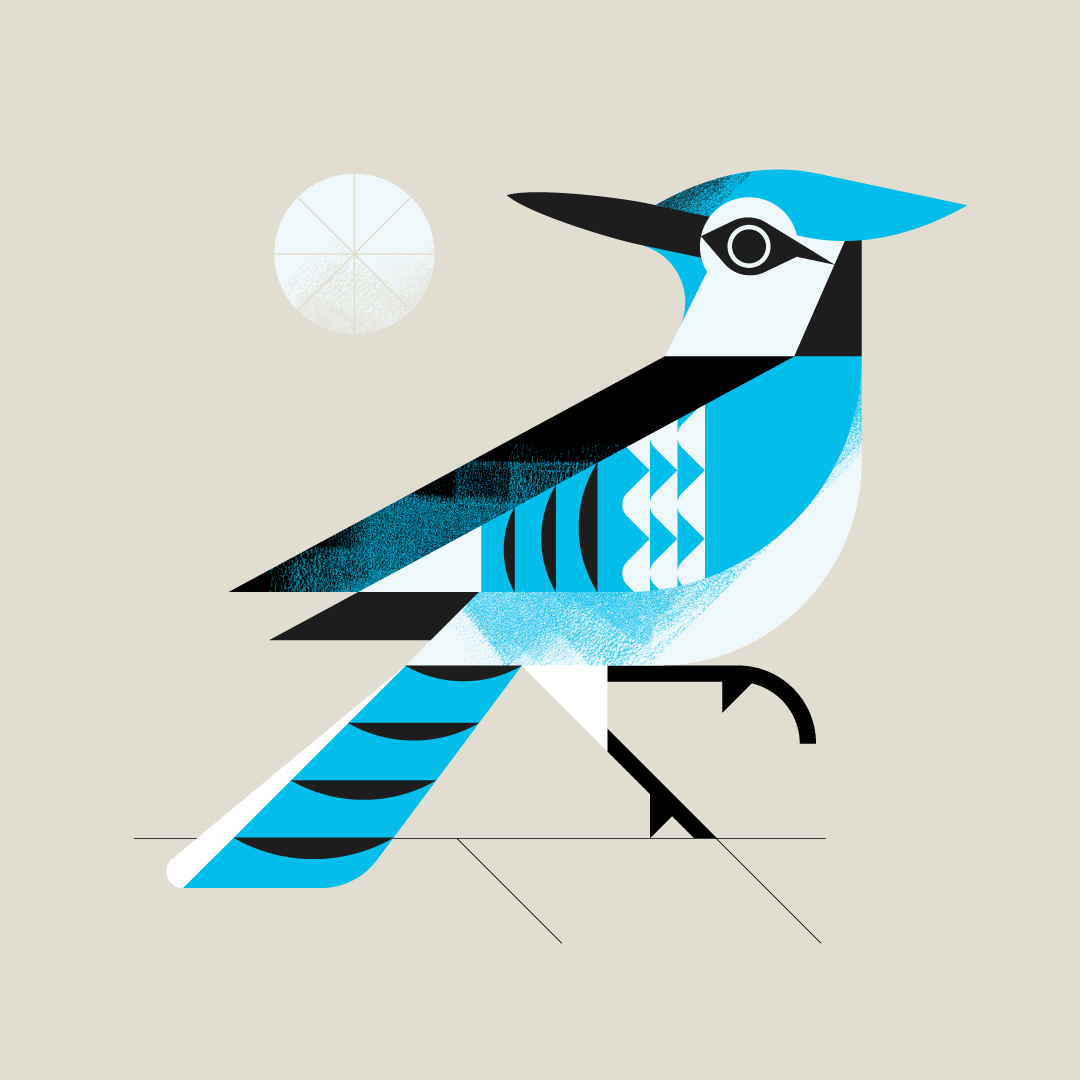 OBA_Blue-Jay_1080x1350_01